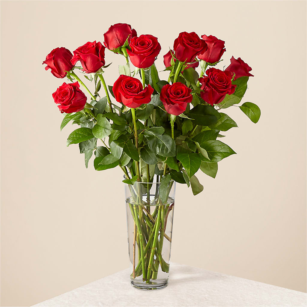 Long Stem Red Rose Bouquet – Colonial Flower Shop, Madison IN