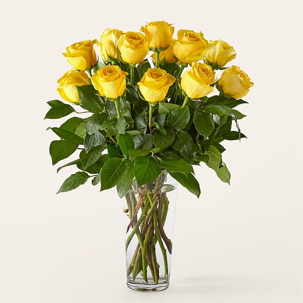 Long Stem Yellow Rose Bouquet – Colonial Flower Shop, Madison IN
