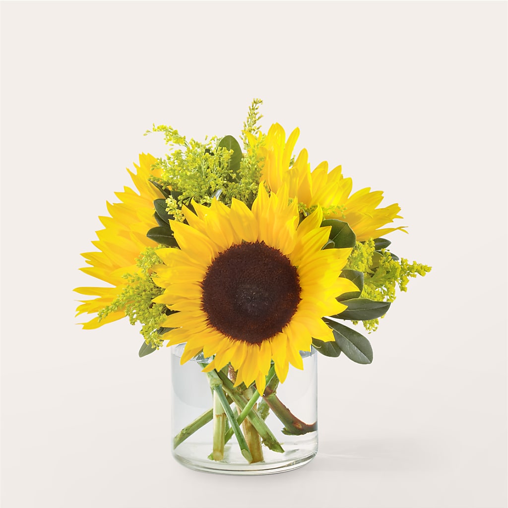 Beaming Sunflower Bouquet – Colonial Flower Shop, Madison IN