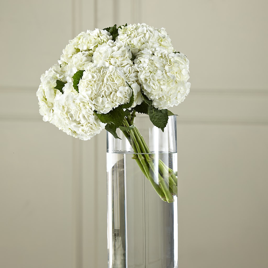 White Hydrangea Hand-Tied Bouquet – Colonial Flower Shop, Madison IN