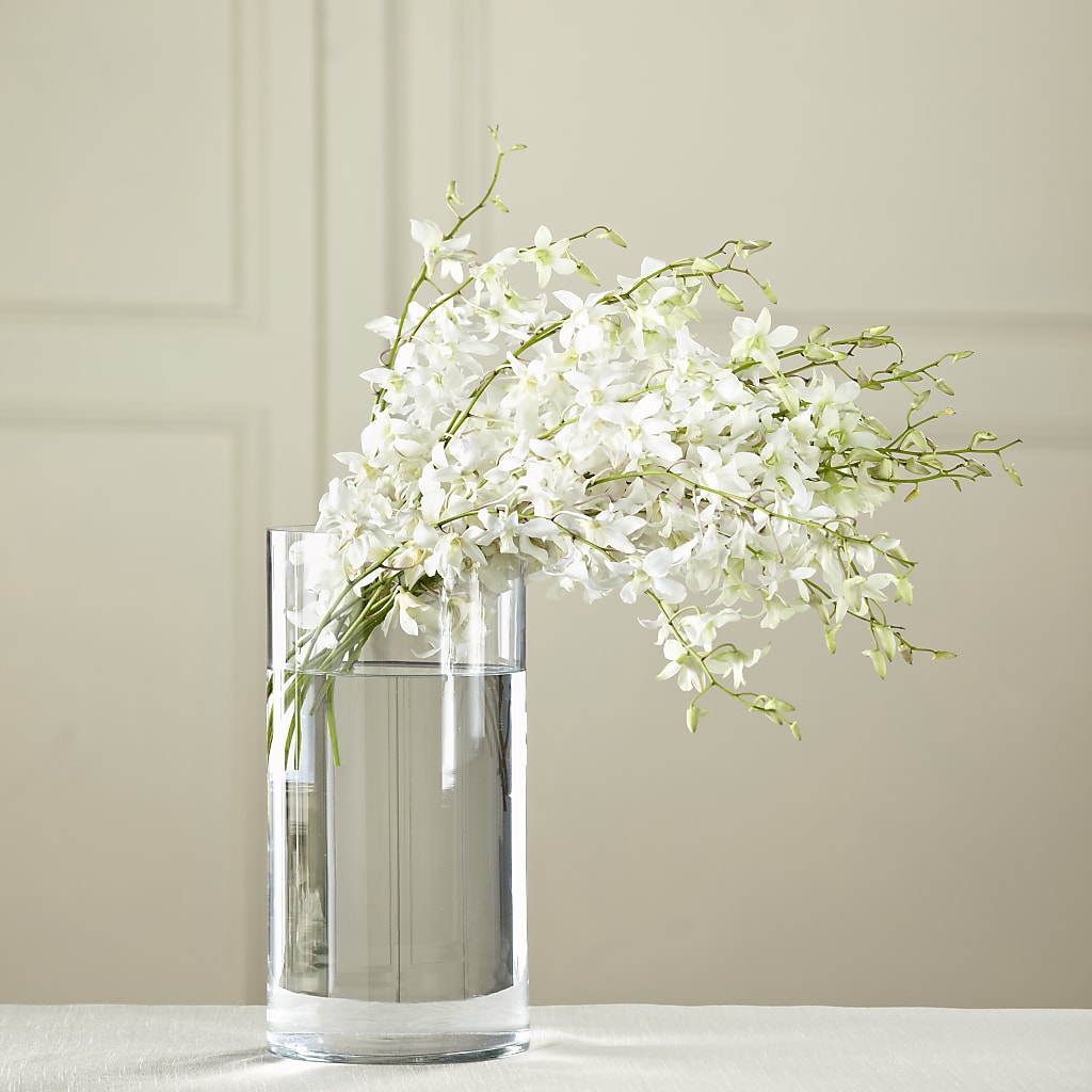 White Dendrobium Bouquet – Colonial Flower Shop, Madison IN