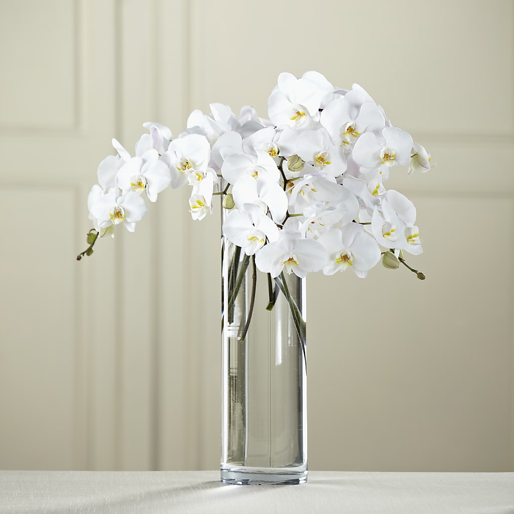 White Phalaenopsis Bouquet – Colonial Flower Shop, Madison IN