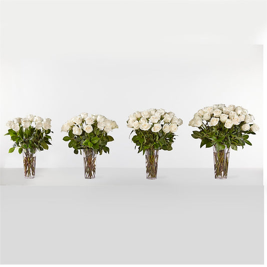 Long Stem White Rose Bouquet –  Colonial Flower Shop, Madison IN