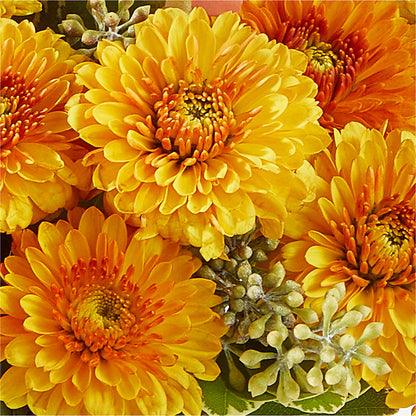 Peachy Pumpkin –  Colonial Flower Shop, Madison IN