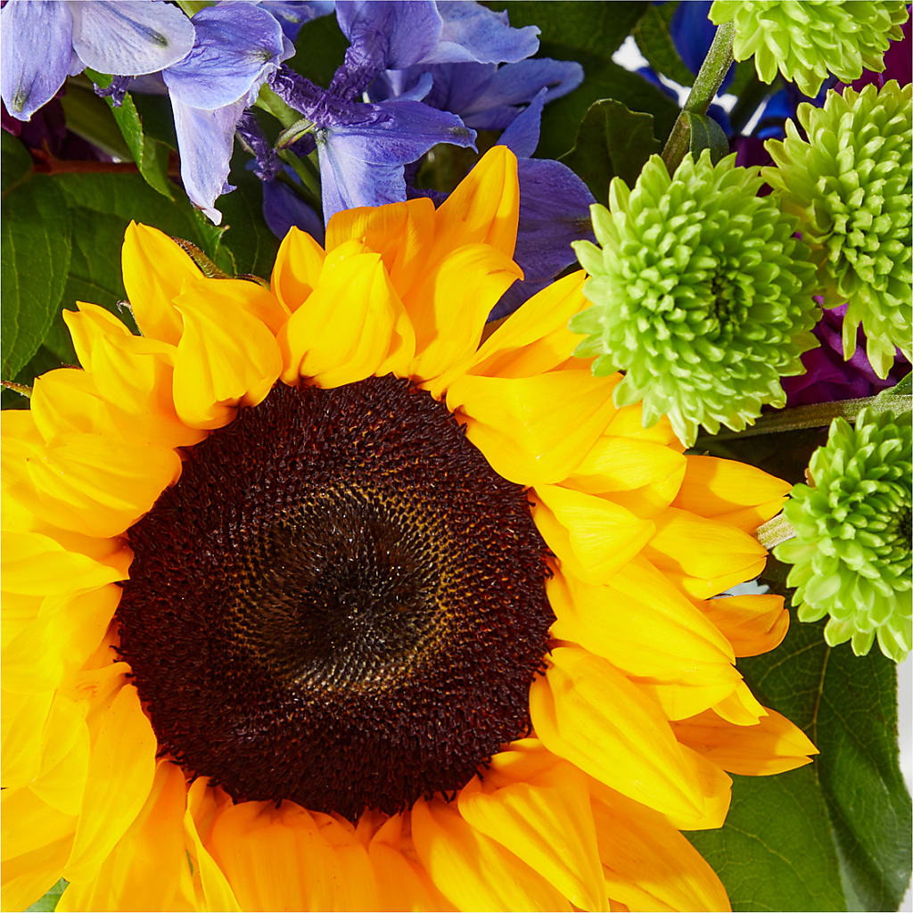Catching Rays Bouquet –  Colonial Flower Shop, Madison IN