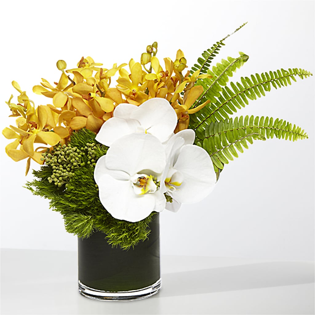 The Tropics –  Colonial Flower Shop, Madison IN