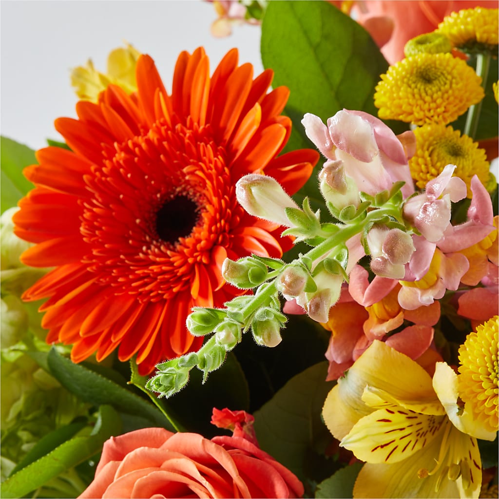 Autumn Sunshine Bouquet –  Colonial Flower Shop, Madison IN