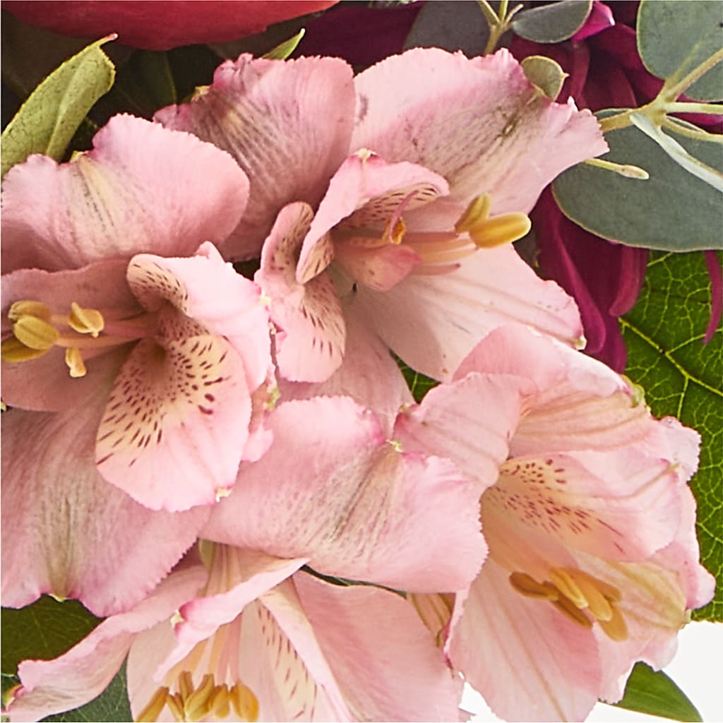 Berry Cobbler Bouquet –  Colonial Flower Shop, Madison IN