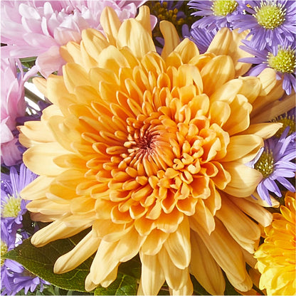 Countryside Bouquet –  Colonial Flower Shop, Madison IN