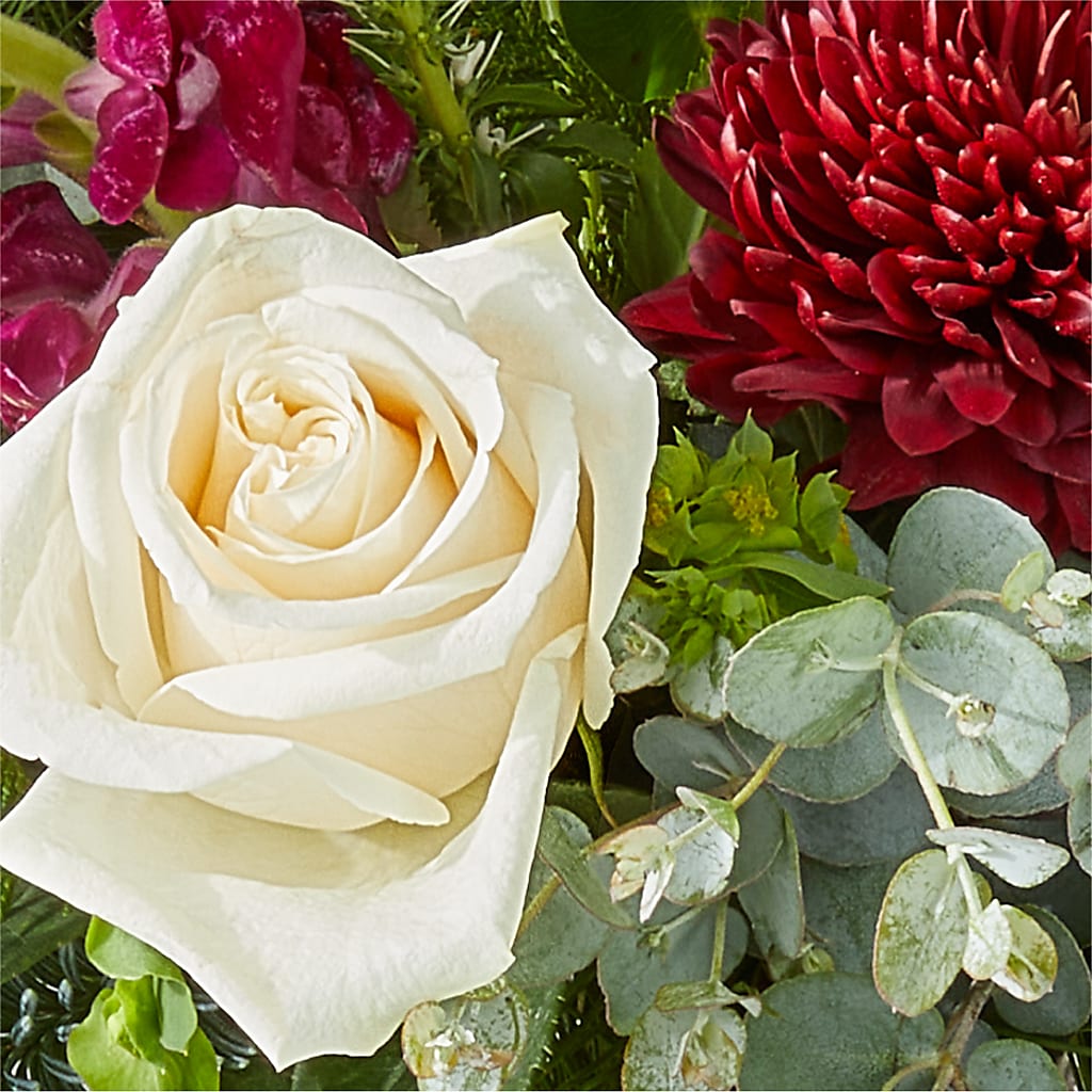 Cranberry Fizz Bouquet –  Colonial Flower Shop, Madison IN