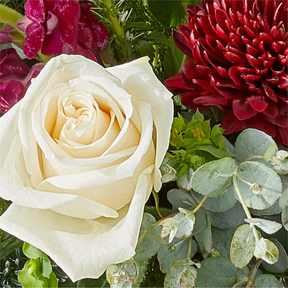 Cranberry Fizz Bouquet –  Colonial Flower Shop, Madison IN