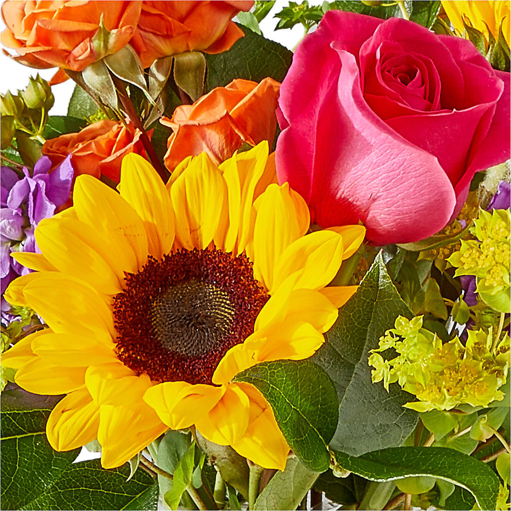 Vibrant Greetings Bouquet –  Colonial Flower Shop, Madison IN