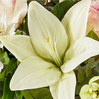 Ballet Slippers Bouquet –  Colonial Flower Shop, Madison IN