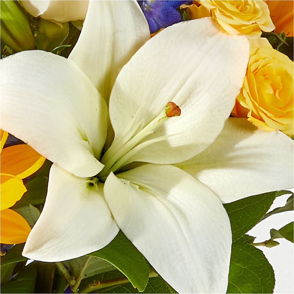 Wonderfully Sunny Bouquet –  Colonial Flower Shop, Madison IN