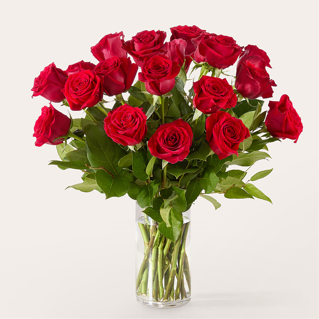The One Red Rose Bouquet –  Colonial Flower Shop, Madison IN