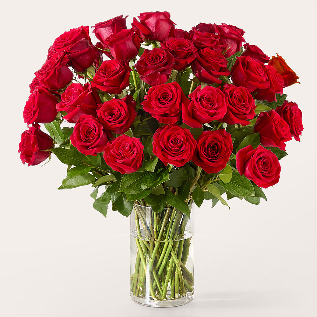 The One Red Rose Bouquet –  Colonial Flower Shop, Madison IN