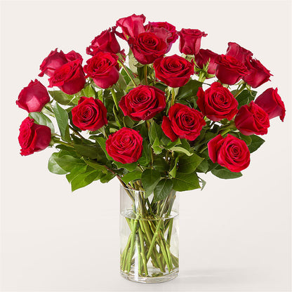 The One Red Rose Bouquet –  Colonial Flower Shop, Madison IN