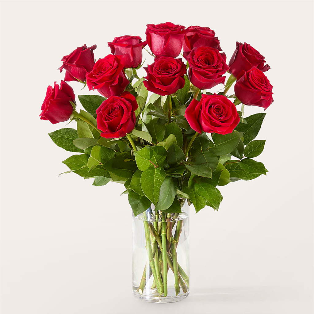 The One Red Rose Bouquet –  Colonial Flower Shop, Madison IN