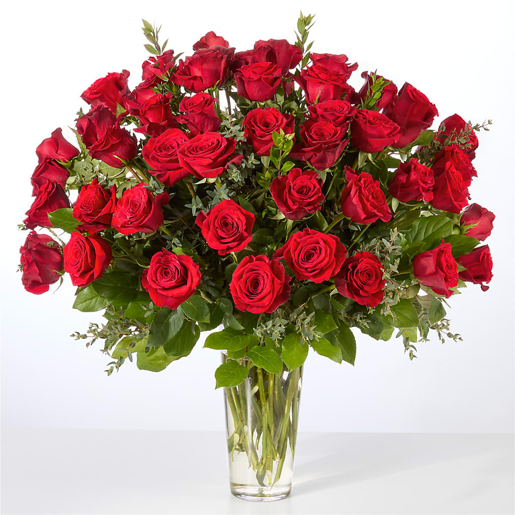 Forever Yours Fifty Stem Red Rose Bouquet –  Colonial Flower Shop, Madison IN