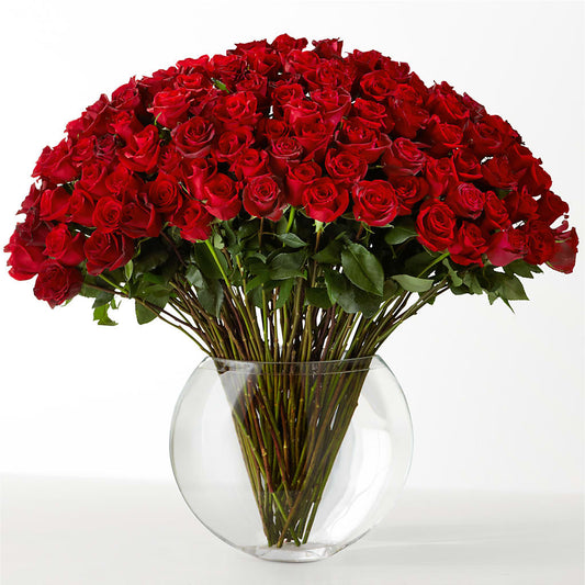 The Idealist –  Colonial Flower Shop, Madison IN