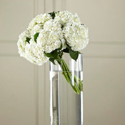 White Hydrangea Hand-Tied Bouquet –  Colonial Flower Shop, Madison IN