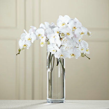 White Phalaenopsis Bouquet –  Colonial Flower Shop, Madison IN